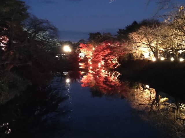 弘前公園　弘前城菊と紅葉まつり　紅葉ライトアップ　中濠